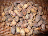 /album/babske-rady-a-tipy/p1080793-jpg/