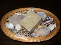 /album/babske-rady-a-tipy/p1070027-jpg/