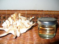 /album/babske-rady-a-tipy/p1070301-jpg/