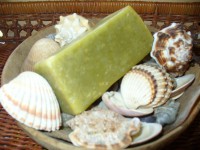 /album/babske-rady-a-tipy/p1090433-jpg/