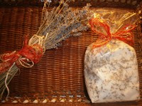 /album/babske-rady-a-tipy/pb200492-jpg/