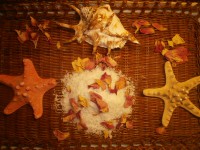 /album/babske-rady-a-tipy/pb200484-jpg/