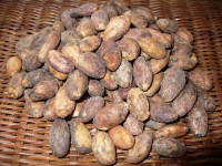 /album/babske-rady-a-tipy/p1080792-jpg/